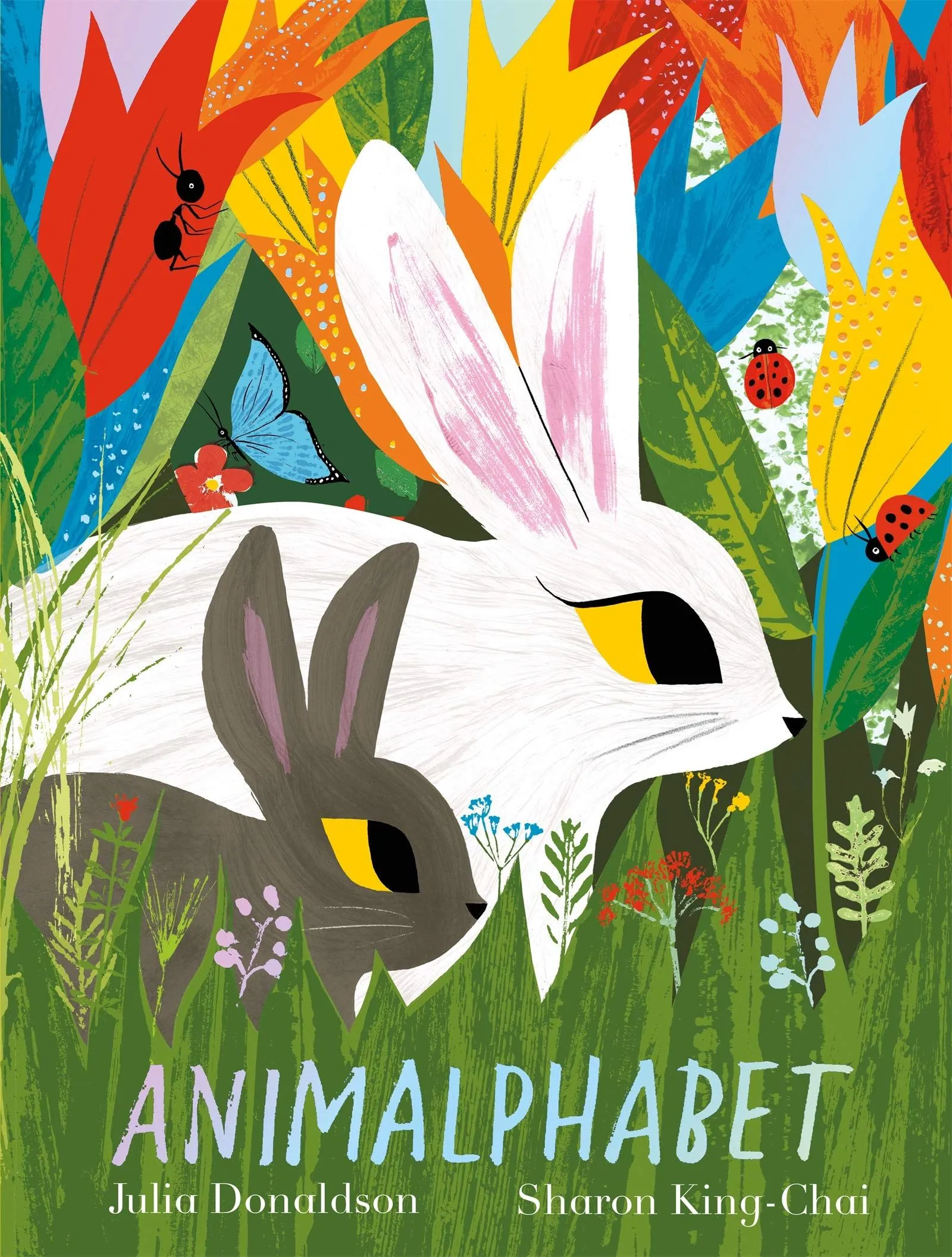 Book - Animalphabet (PB)