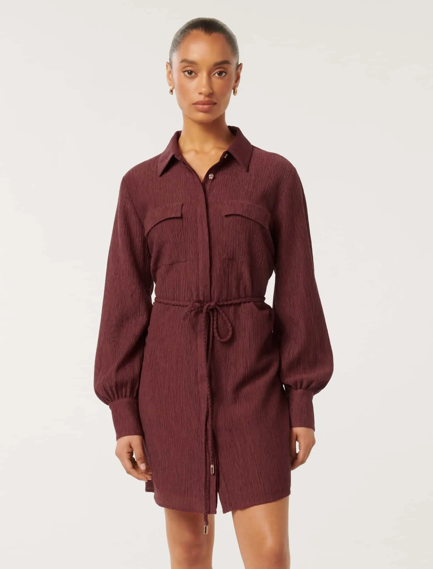 Eloise Petite Textured Shirt Mini Dress