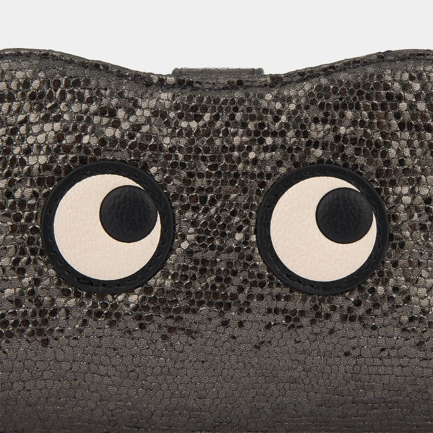 Eyes Glasses Pouch