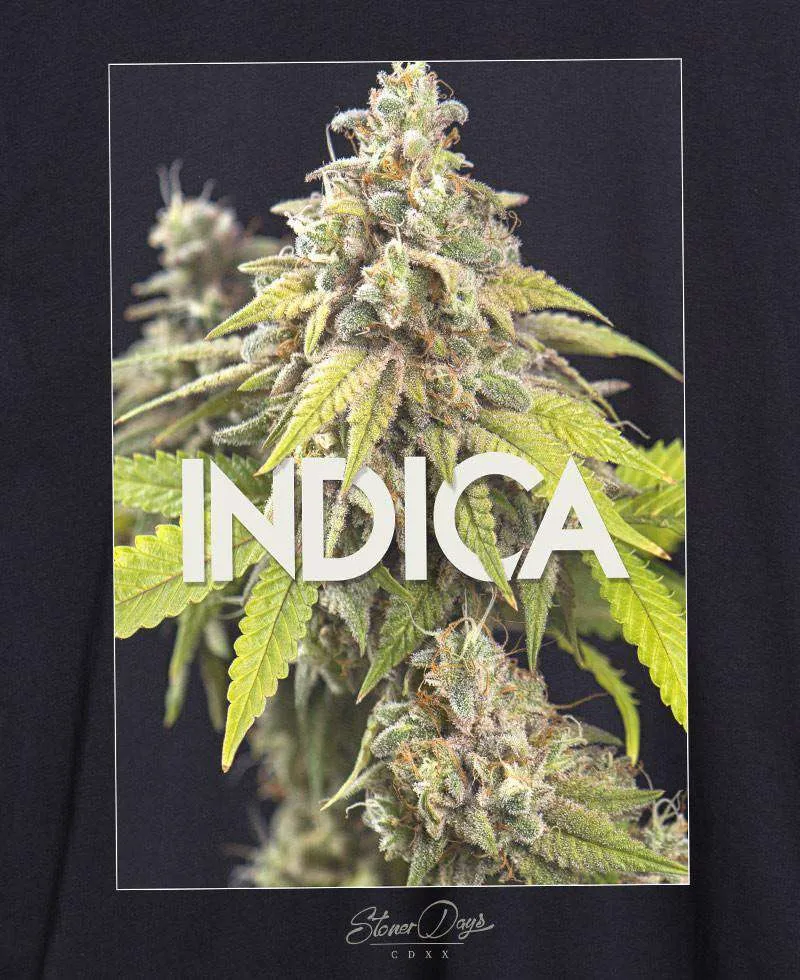 INDICA HOODIE