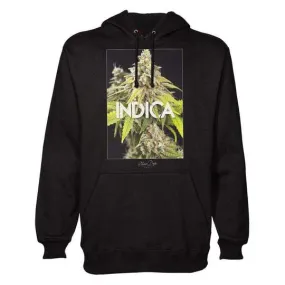 INDICA HOODIE