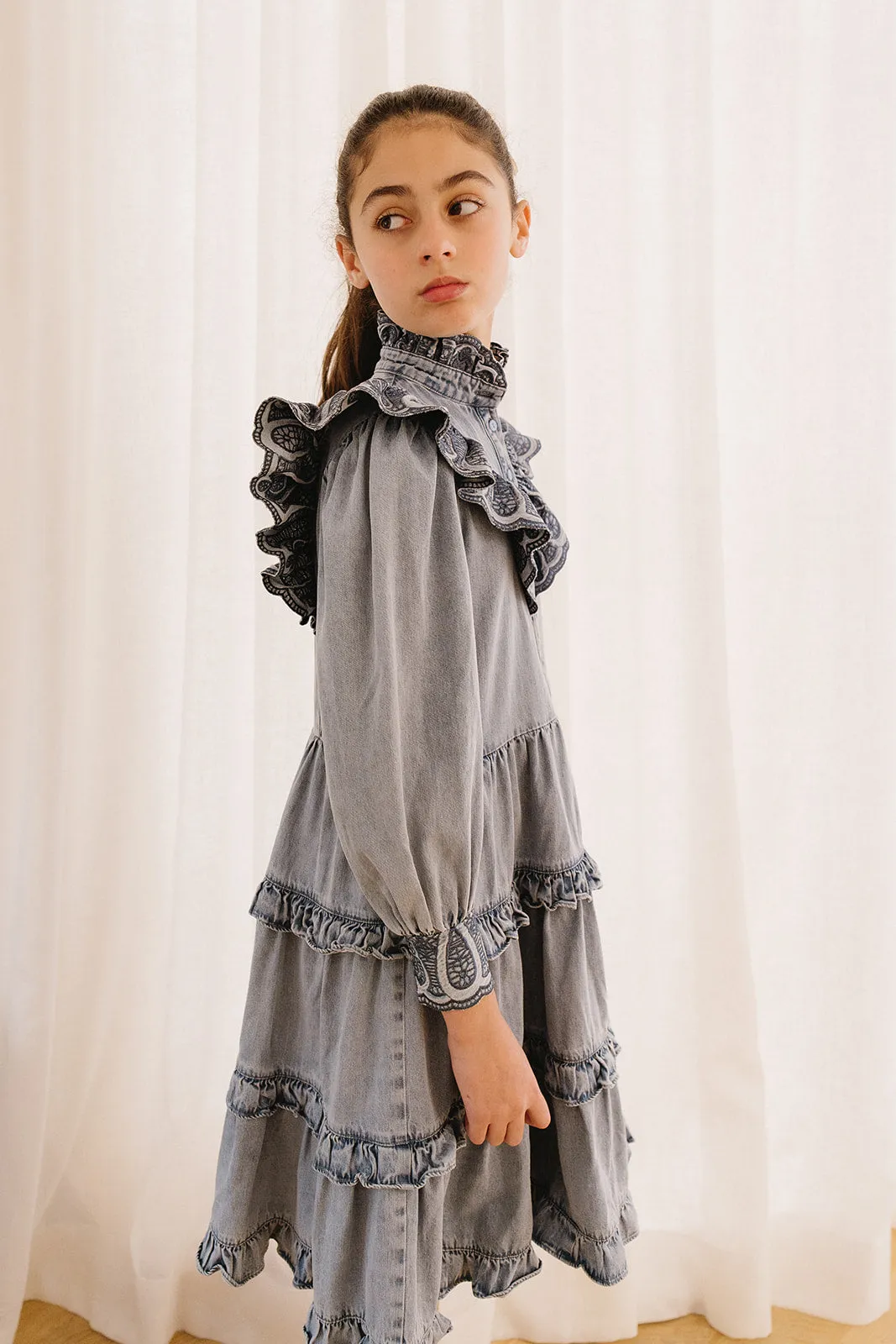 PETITE AMALIE Soleil Embroidered Chambray Dress with Tiered Skirt