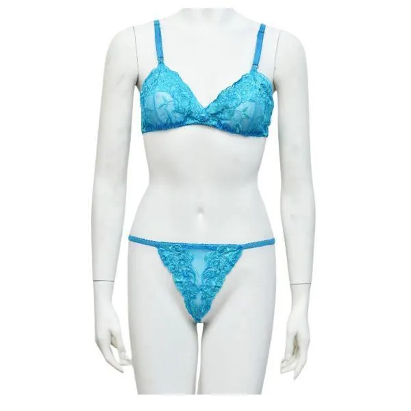 Sexy Bra Panty Set Fancy Net Bra Panty Set See Through Embroidered Bra Panty Combo