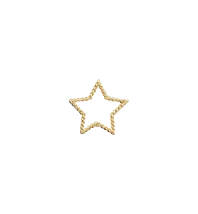 Tangled Star Charm 14K